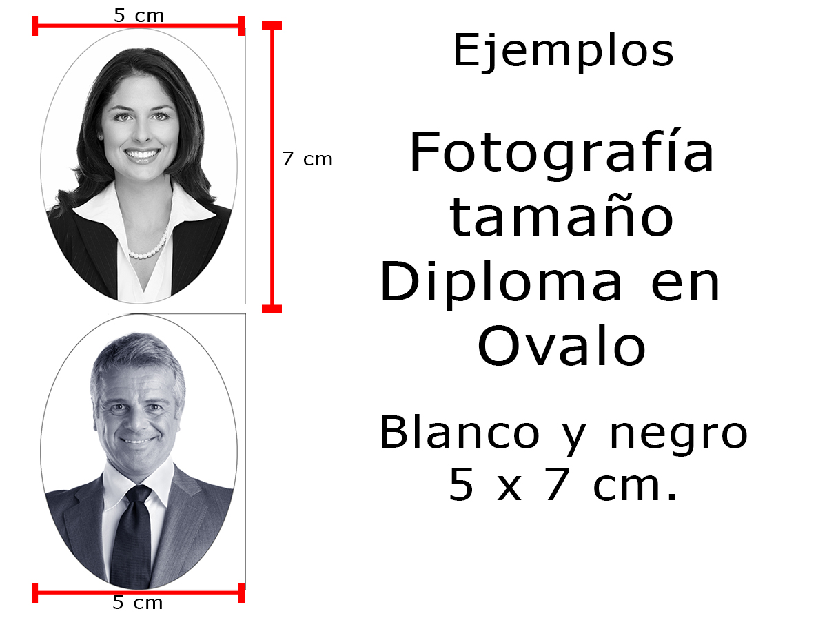 Image module